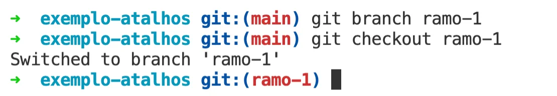 imagem mostrando o resultado dos comandos git branch e git checkout