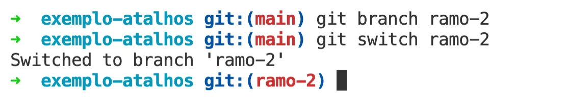imagem mostrando o resultado dos comandos git branch e git switch 