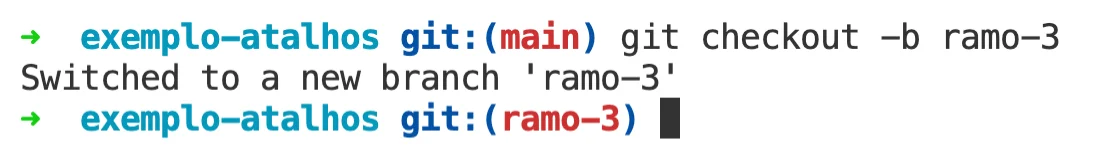 imagem mostrando o resultado do comando git checkout -b ramo-3