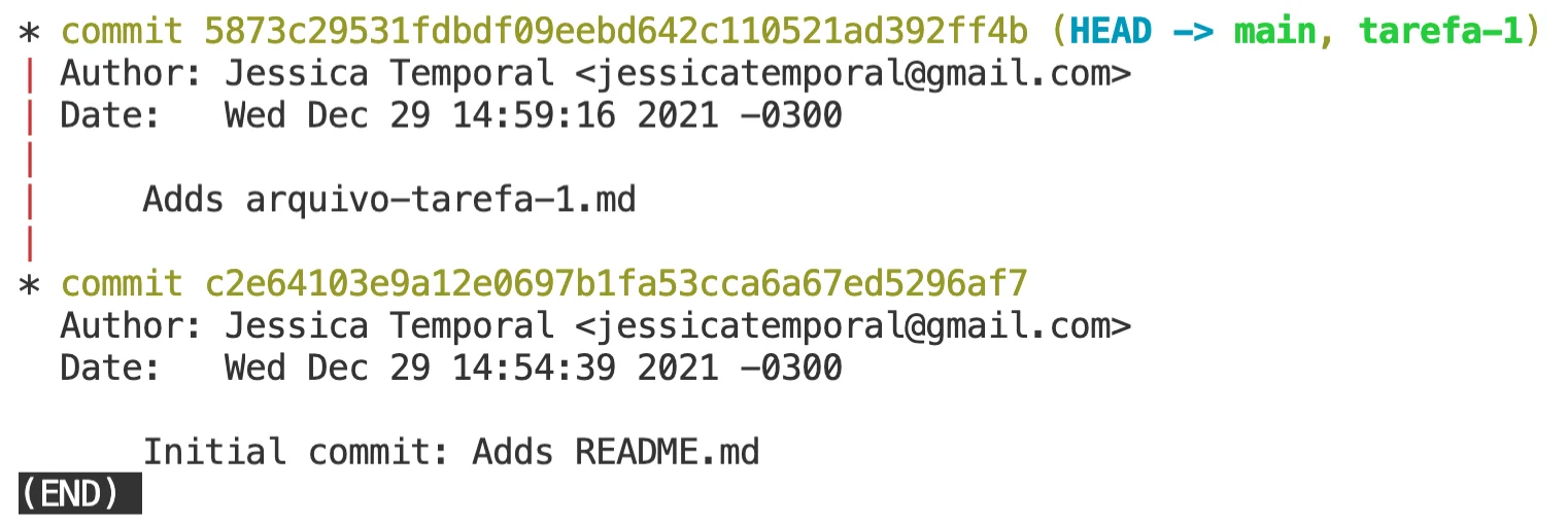 imagem mostrando o branch main com o histórico atualizado