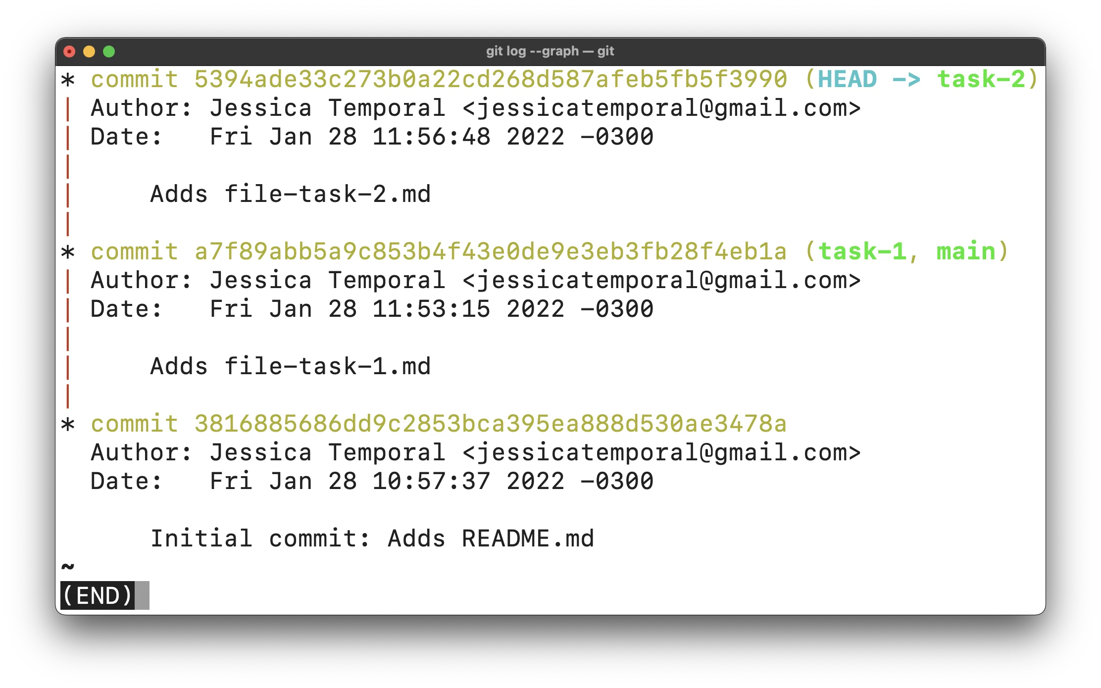 grafo de histórico após atualizar o ramo task-2 com o rebase
