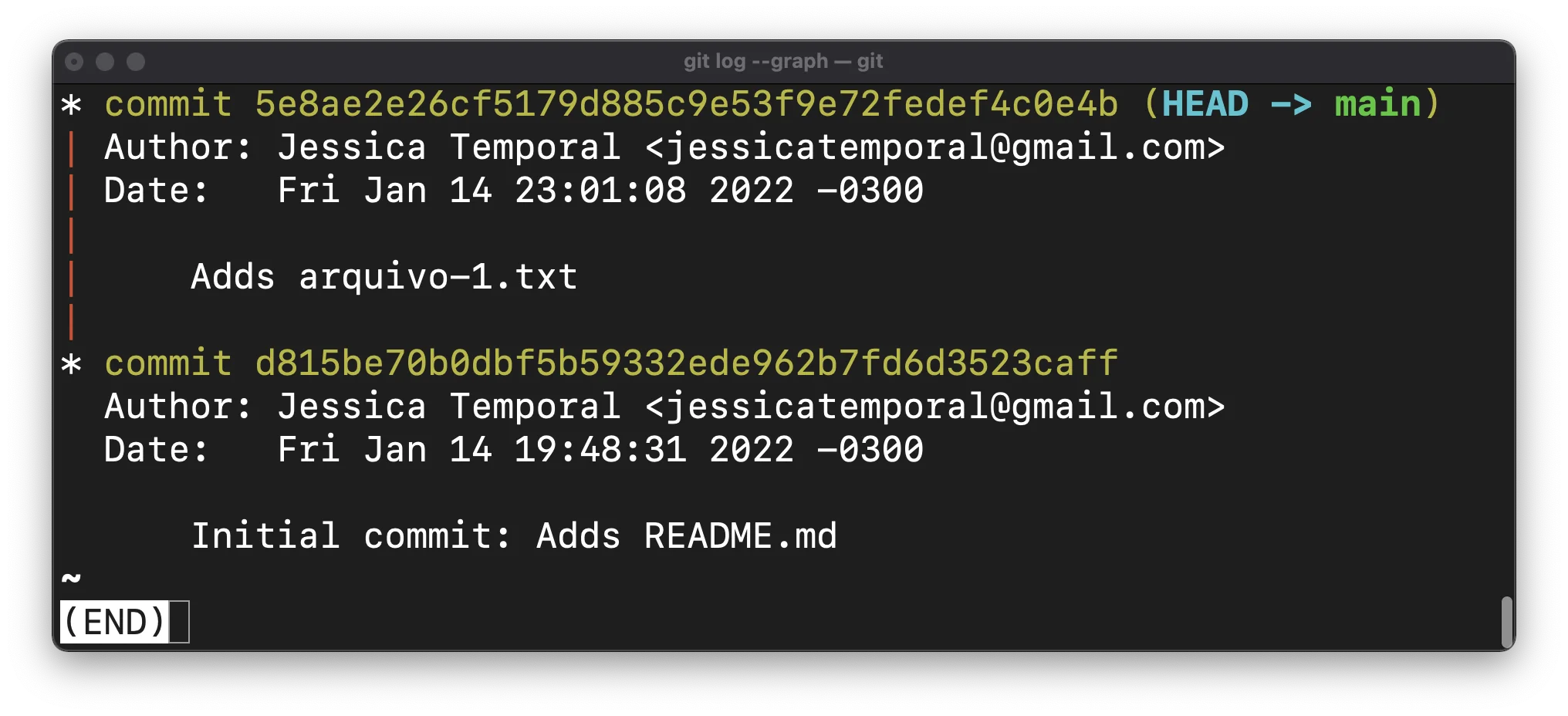 captura de tela mostrando o histórico do git no terminal com dois commits