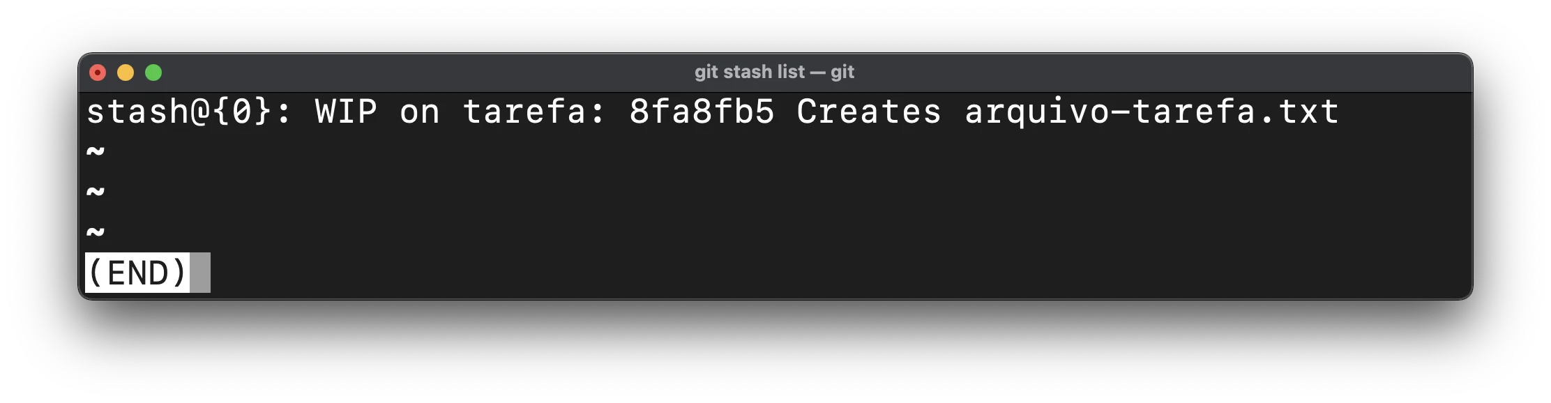 imagem mostrando o resultado do git stash list