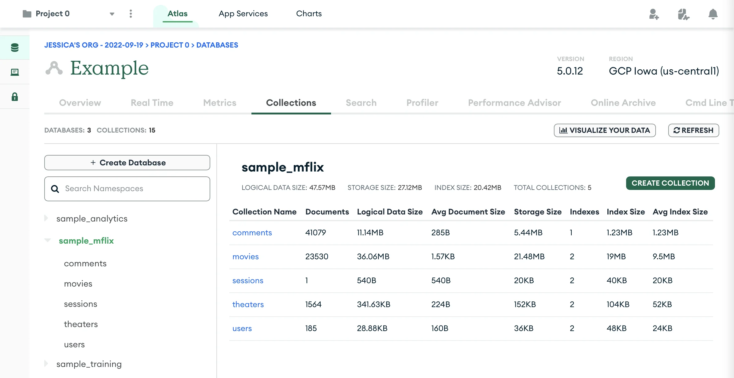 project details in the mongo database