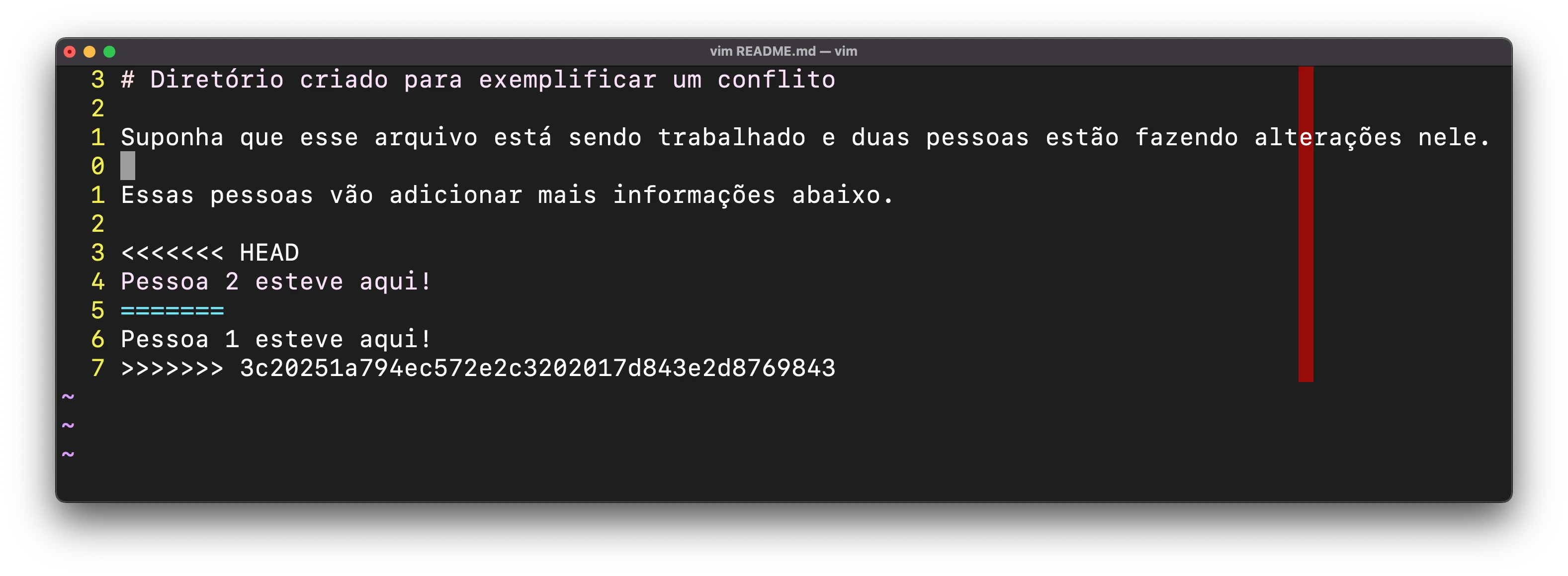 imagem mostrando o conflito no editor vim com as marcações mais simples